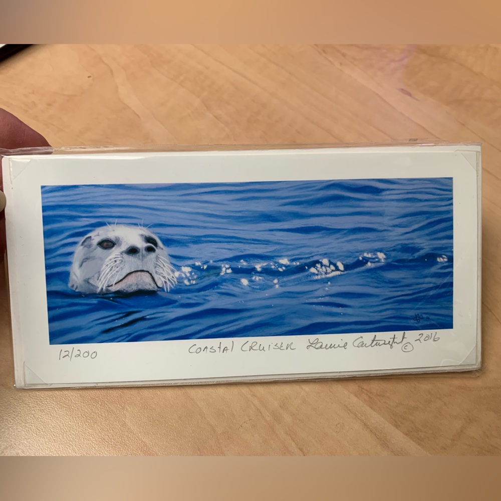 Harbor seal art print, ~ 8x4”. Coastal Cruiser -Laurie Cartwright 2016,12/200.